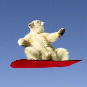 Meet your Posher, Miranda